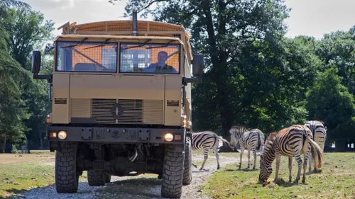 Partez à la découverte du Zoo Safari de Thoiry : camion brousse et...